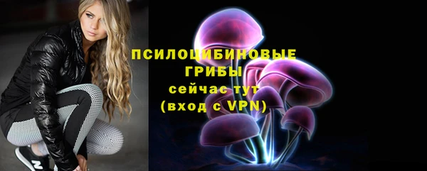 мдпв Балабаново
